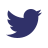 Social Media Icon 2